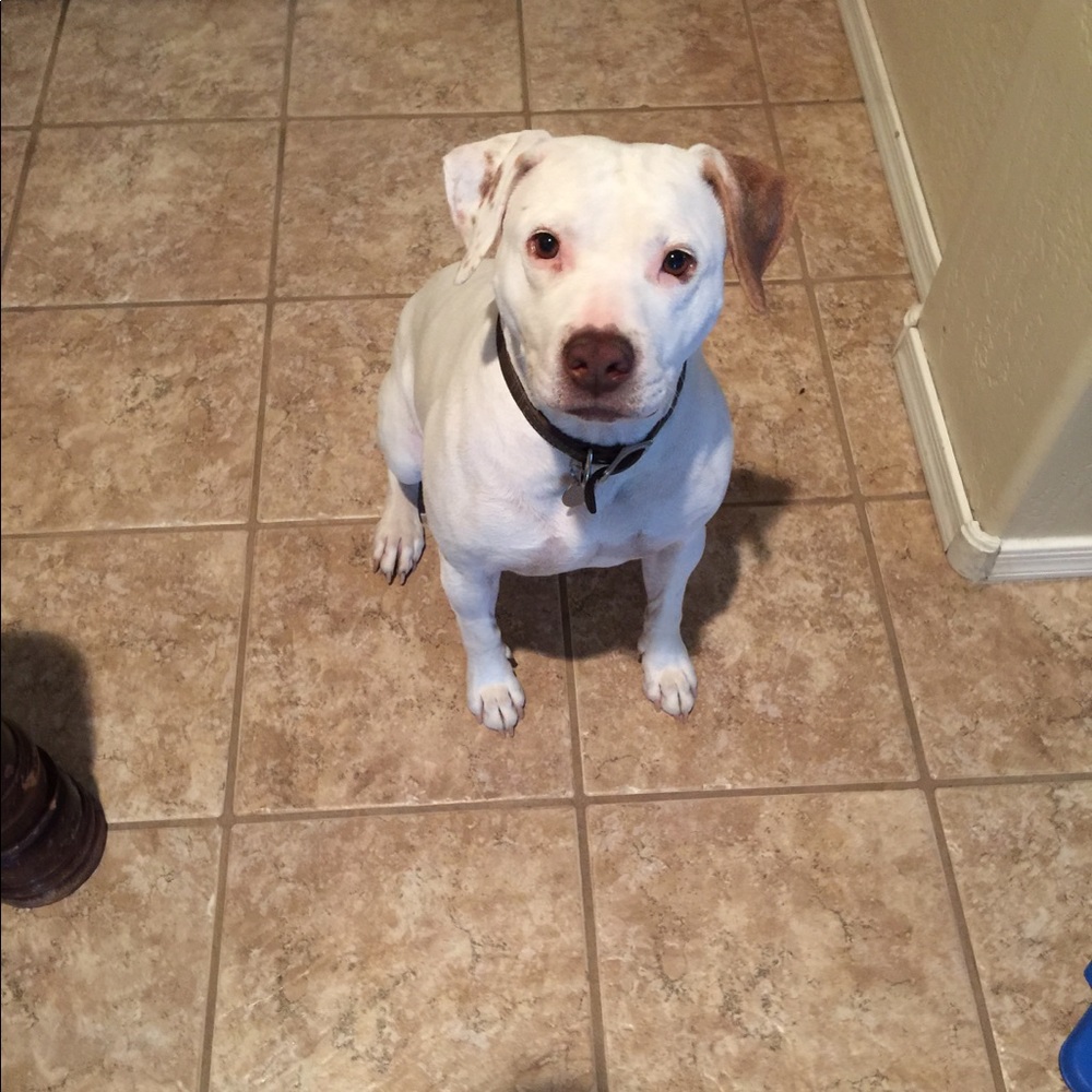 Meet your Posher, Muriel